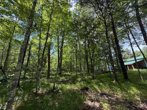 2360 Island Lake Road, Barnes, WI 54873