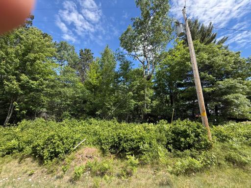 2360 Island Lake Road, Barnes, WI 54873