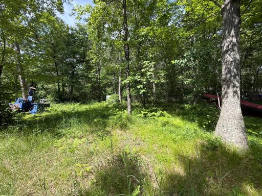 2360 Island Lake Road, Barnes, WI 54873