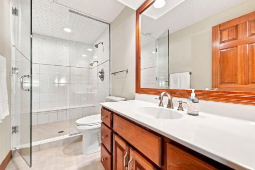 This luxury 5th bathroom services all in the lower level