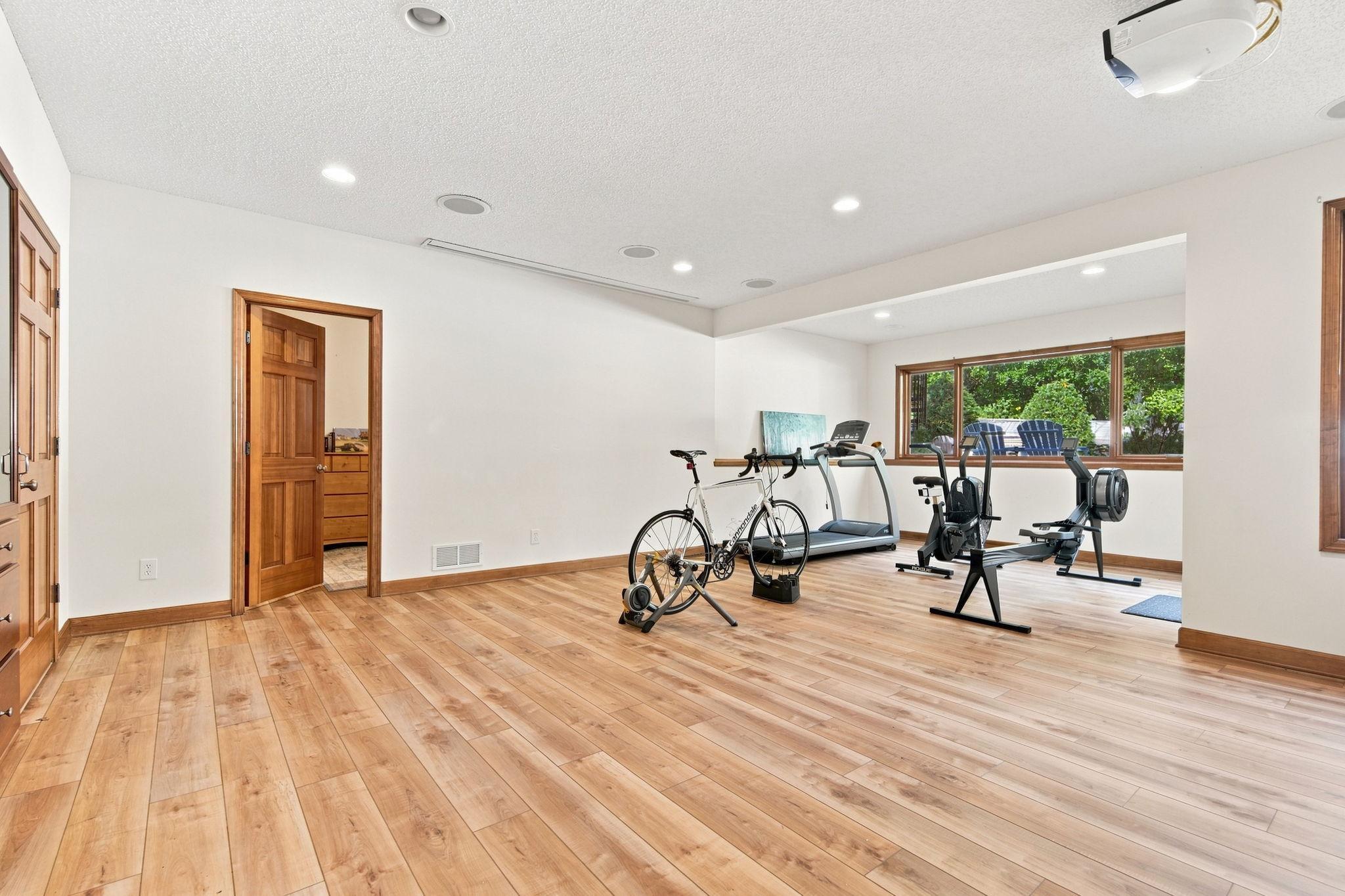 BONUS room with retractable theater