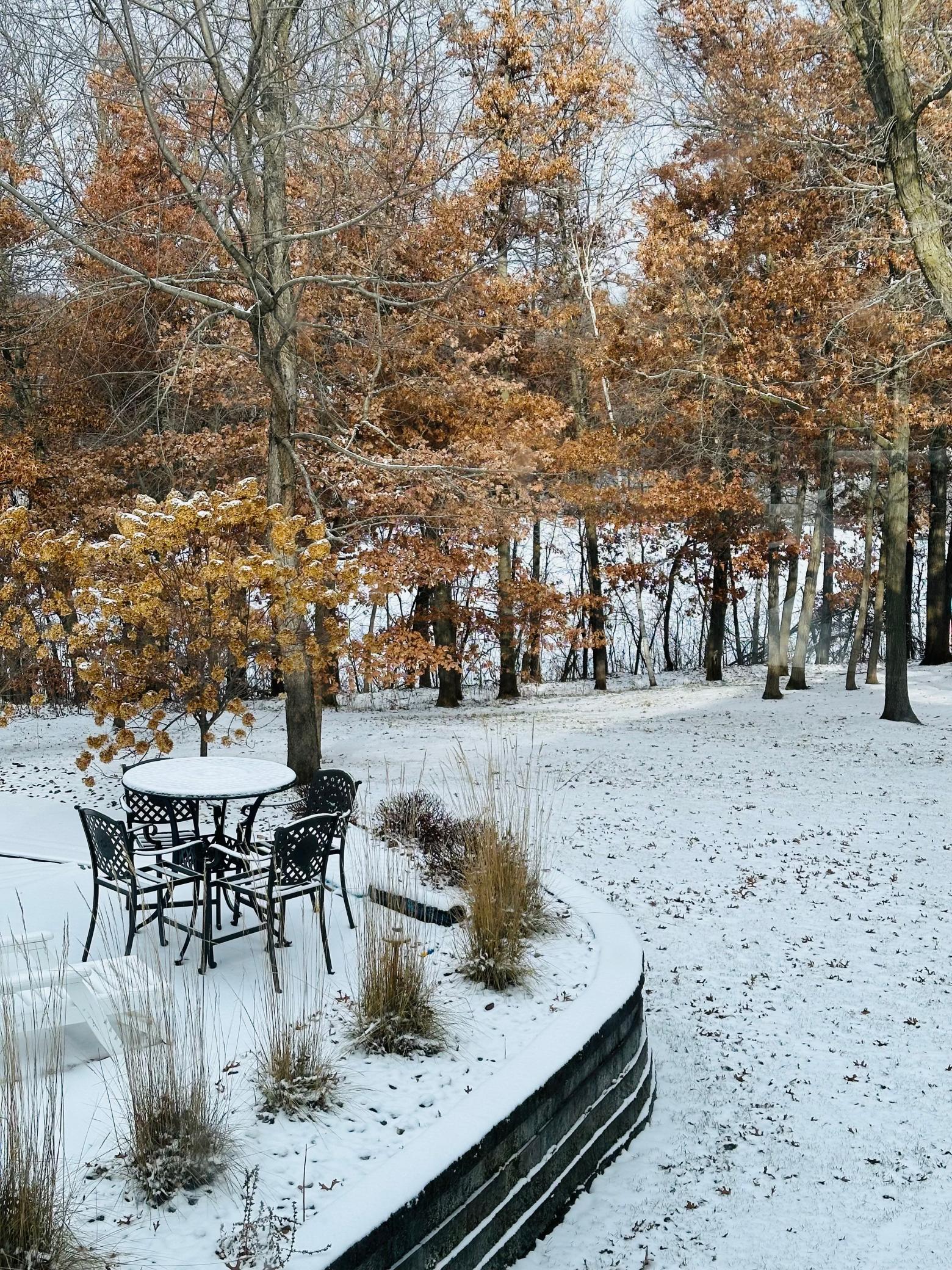 See the pond right in your backyard!