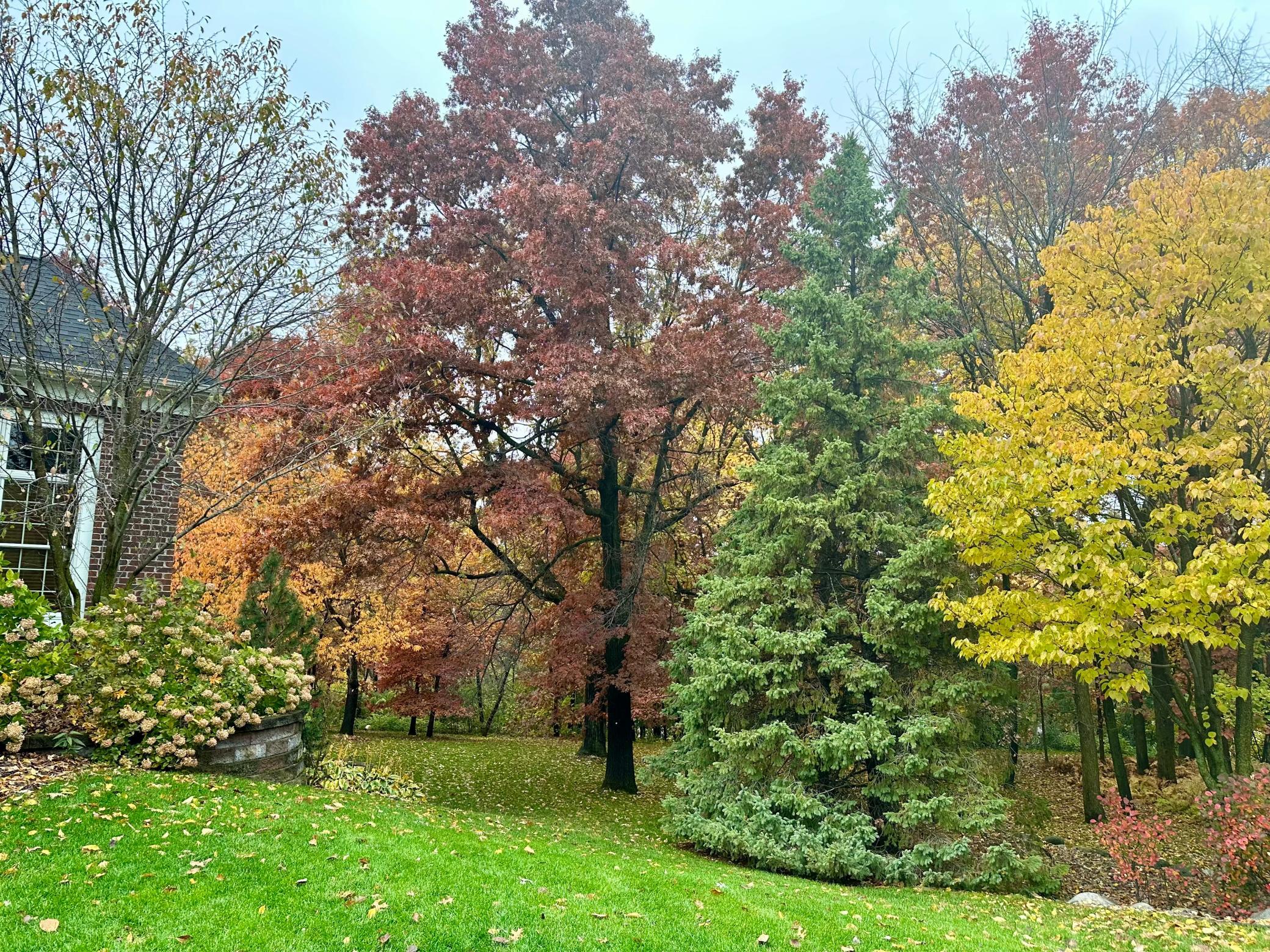 The fall colors are amazing!