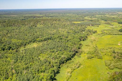 9374 Alango Road, Angora, MN 55703