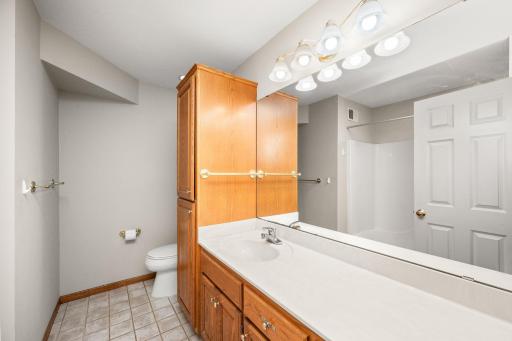 411 Independence Street NE, New Prague, MN 56071