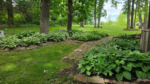 Perennial plants and established landscaping