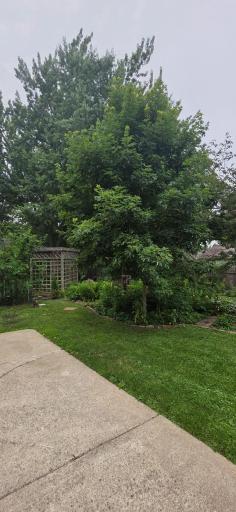 806 Lincoln Avenue, Albert Lea, MN 56007