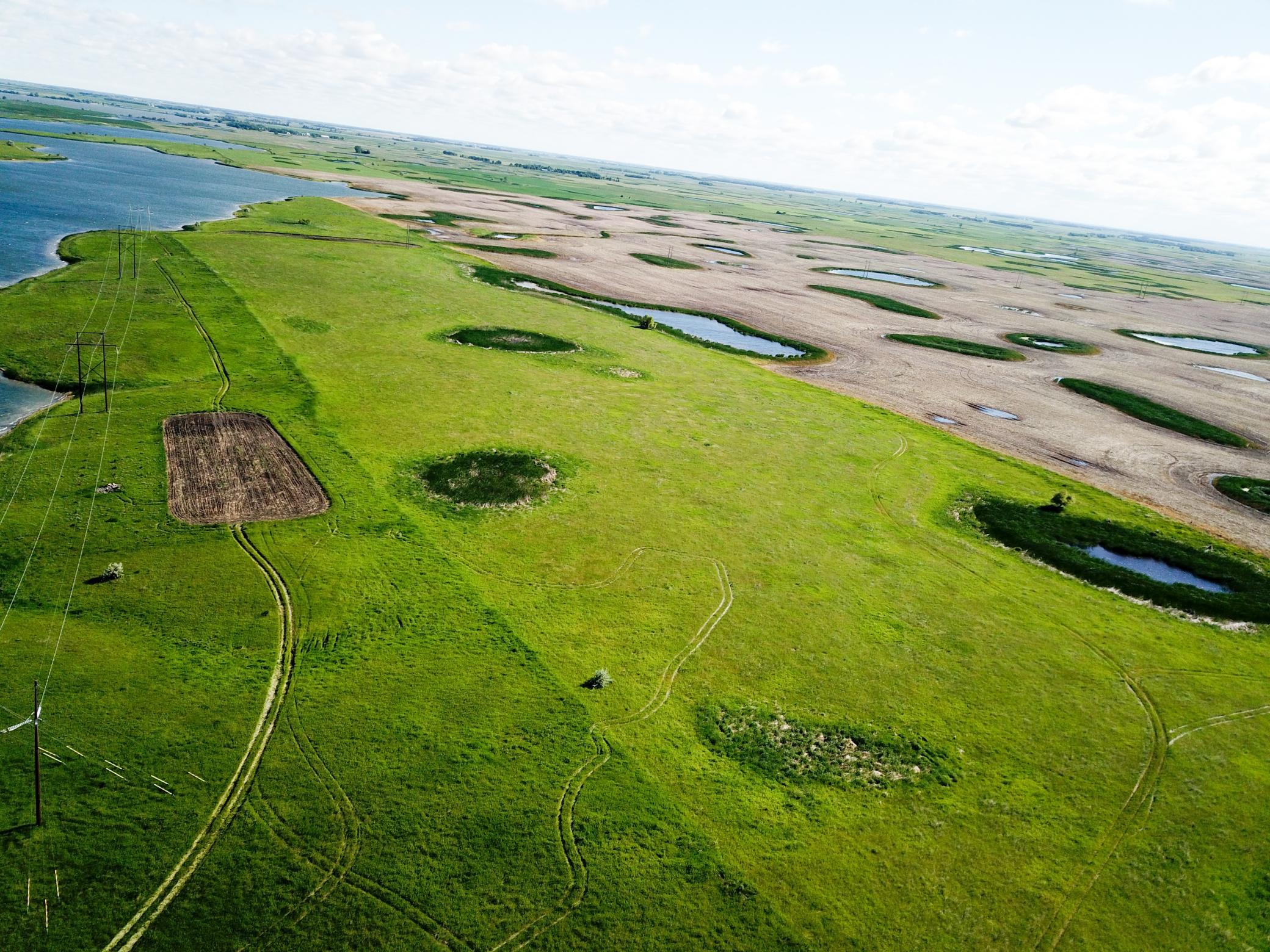 DJI_0050.JPG