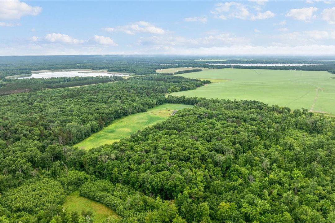 50-DJI_20260619102653_0187_D.jpg