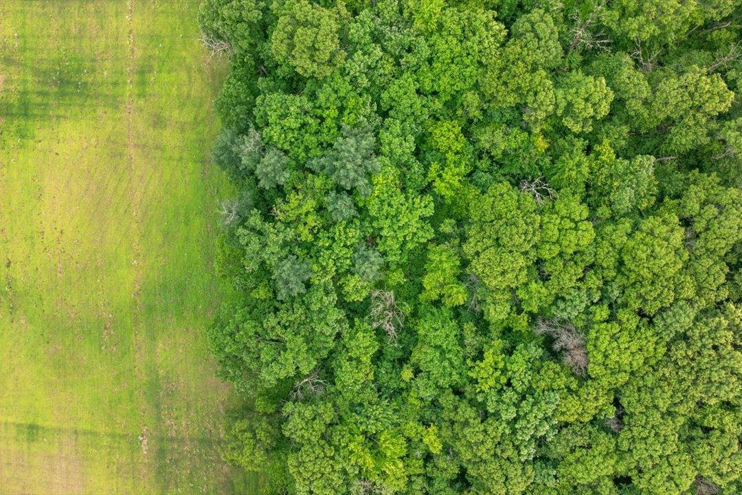 51-DJI_20260619102732_0189_D.jpg