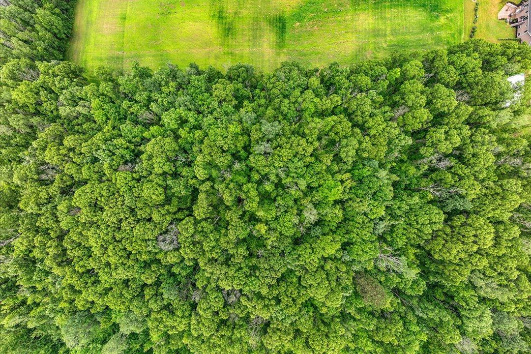 52-DJI_20260619102802_0191_D.jpg