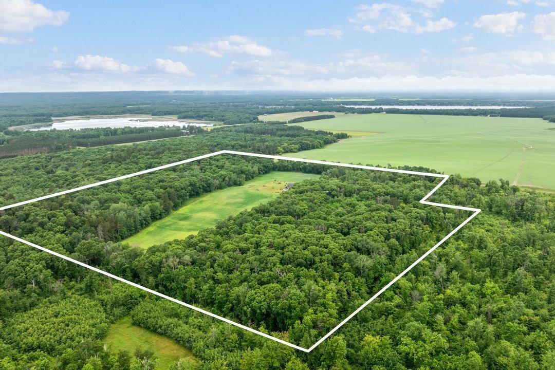 DJI_20260619102653_0187_D 2.jpg