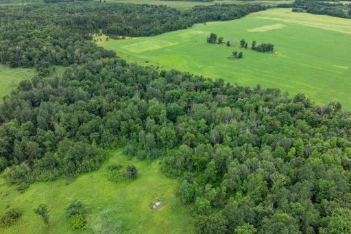 7625 96th Street SW, Motley, MN 56466