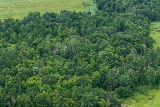 7625 96th Street SW, Motley, MN 56466