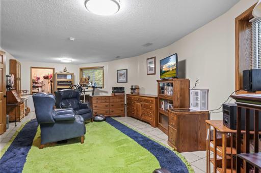 Lower-Level Family Room
