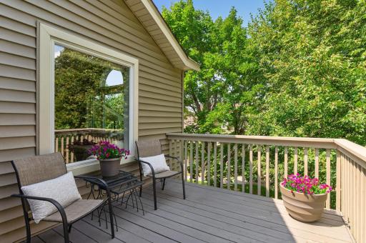 These expansive view will have you felling like you're communing with the birds