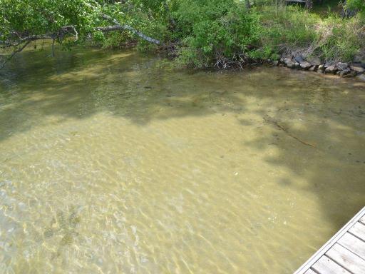 17269 Cattail Drive, Park Rapids, MN 56470