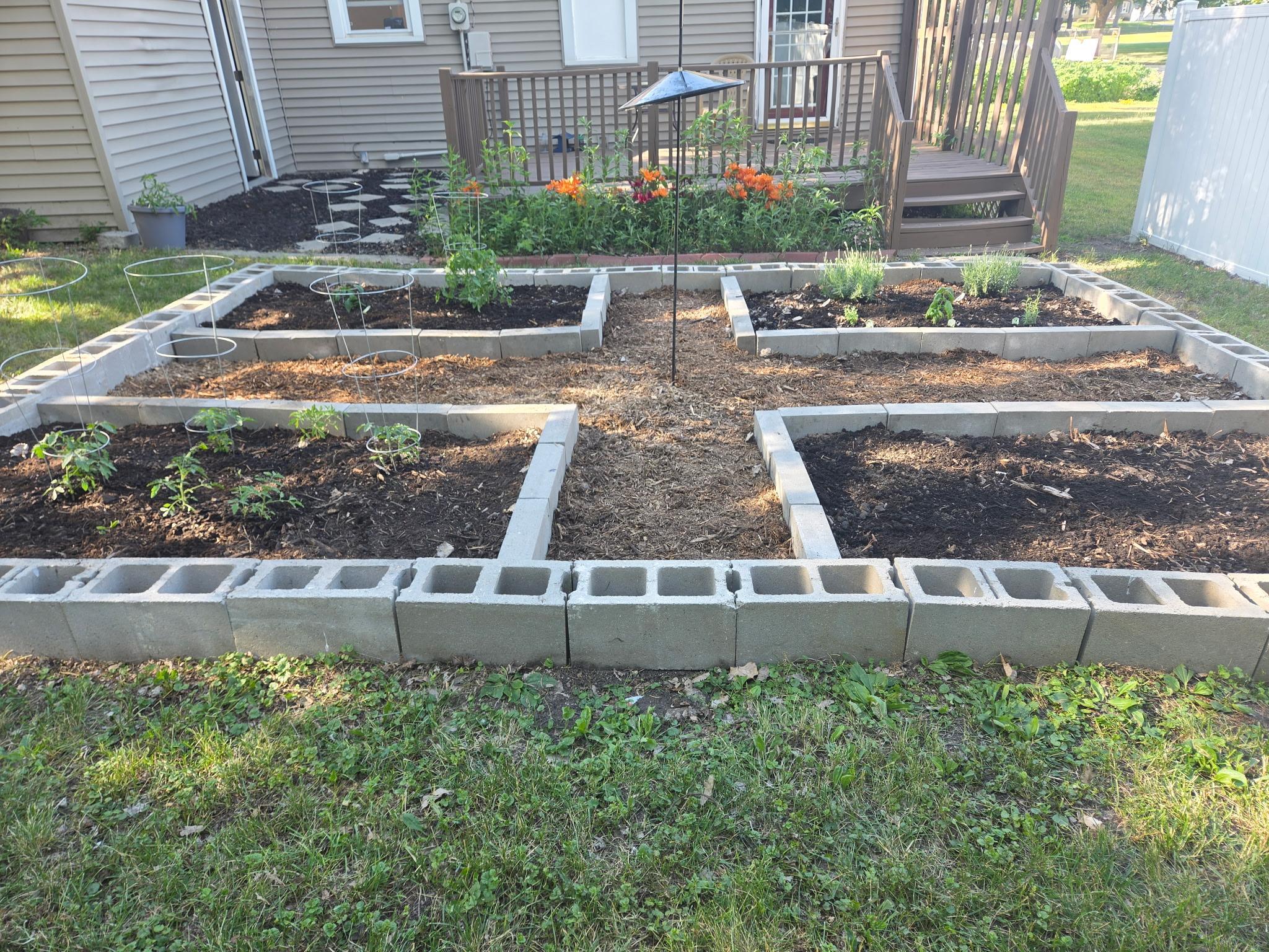 Backyard garden