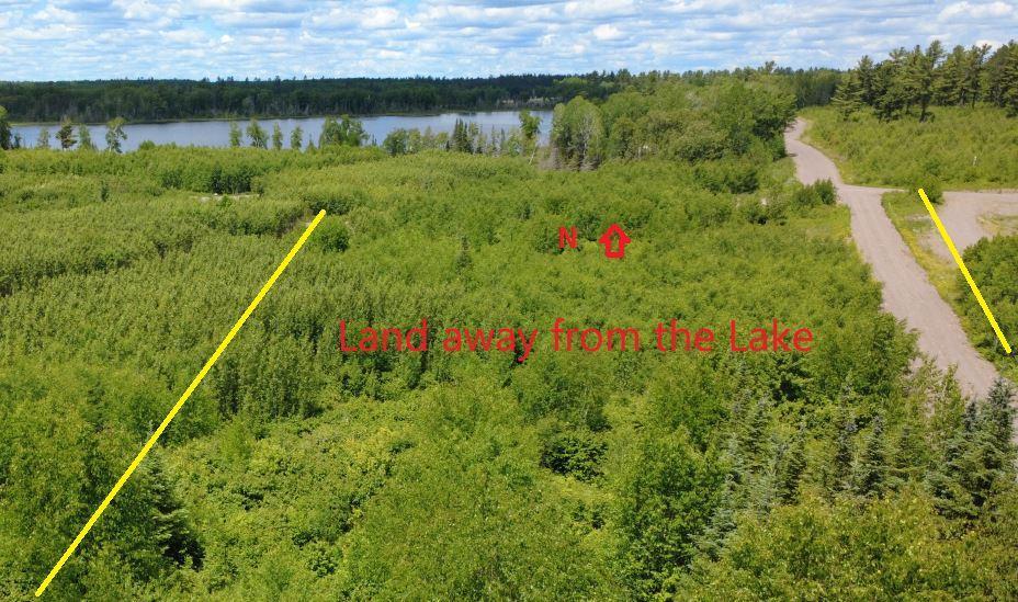 4.4 acres Lot 5 Pequaywan Lake Land & Driveway.JPG
