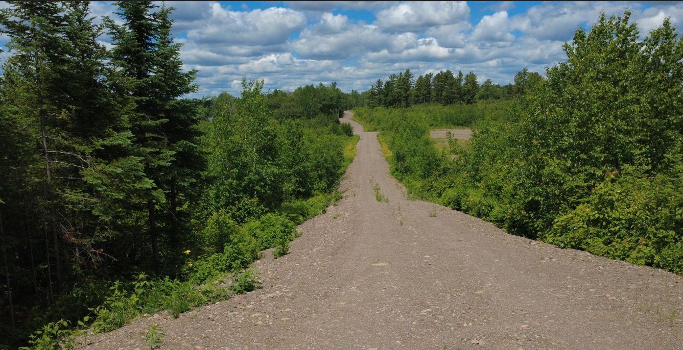 4.4 acres Lot 5 Pequaywan Lake Driveway 2.JPG