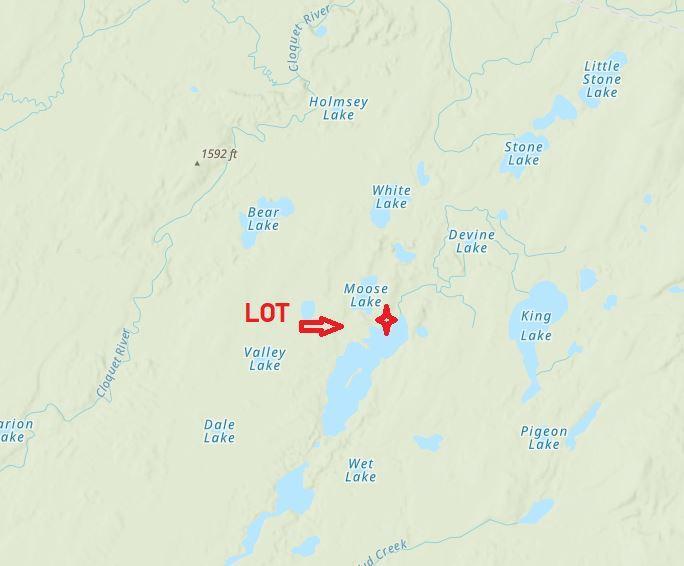 4.4 acres Lot 5 Pequaywan Lake MN DNR MAP.JPG