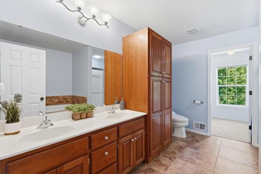 3985 Games Drive, Saint Bonifacius, MN 55375