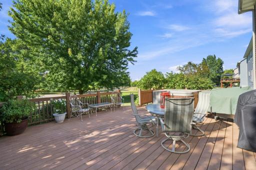 3985 Games Drive, Saint Bonifacius, MN 55375