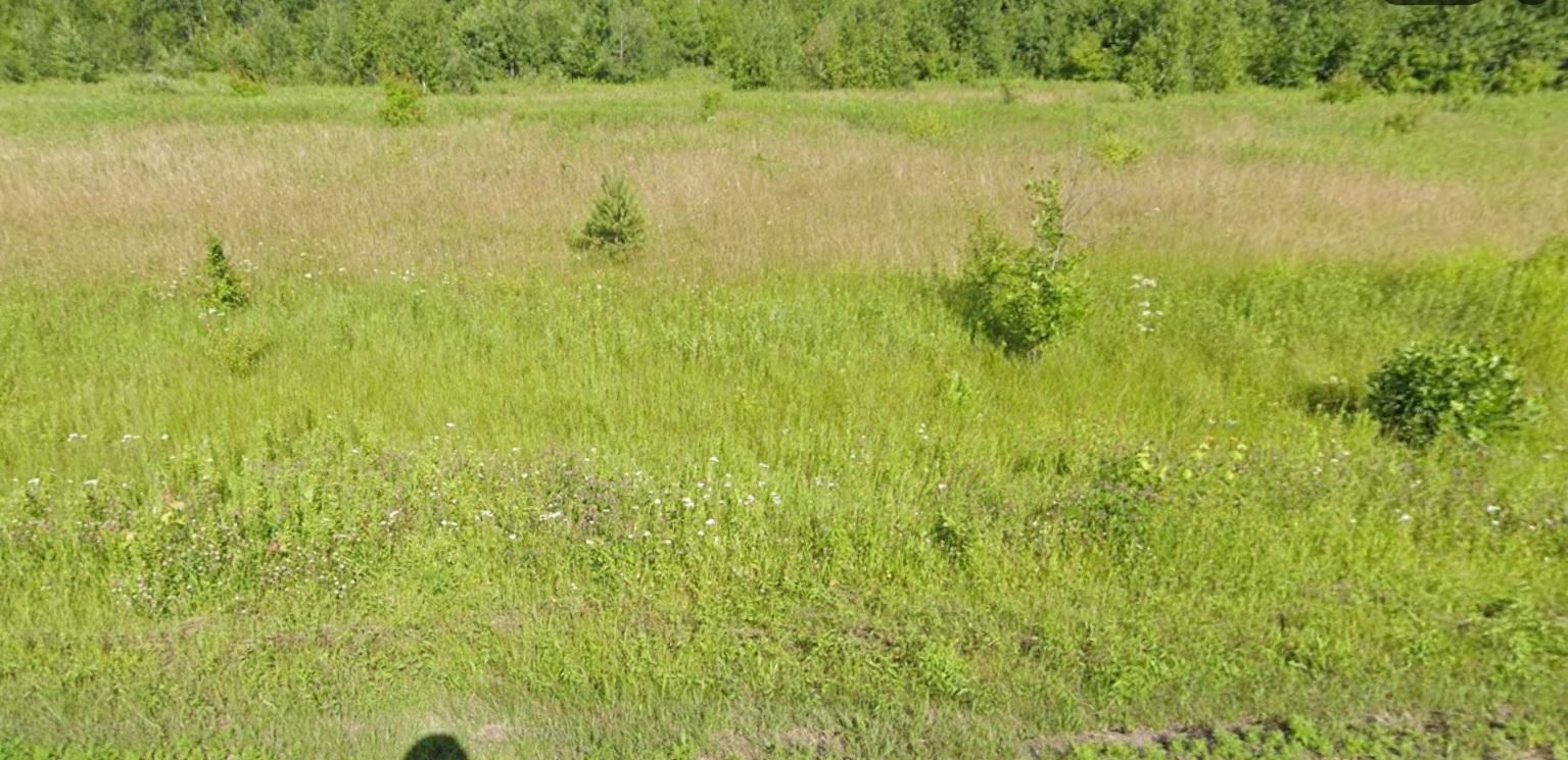 Street View.jpg