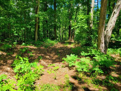 67415 Foley Road, Finlayson, MN 55735