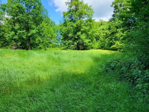67415 Foley Road, Finlayson, MN 55735