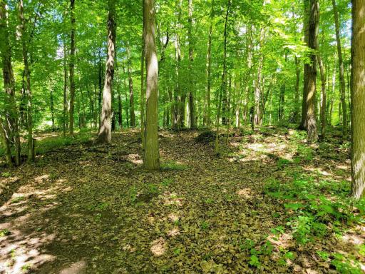 67415 Foley Road, Finlayson, MN 55735