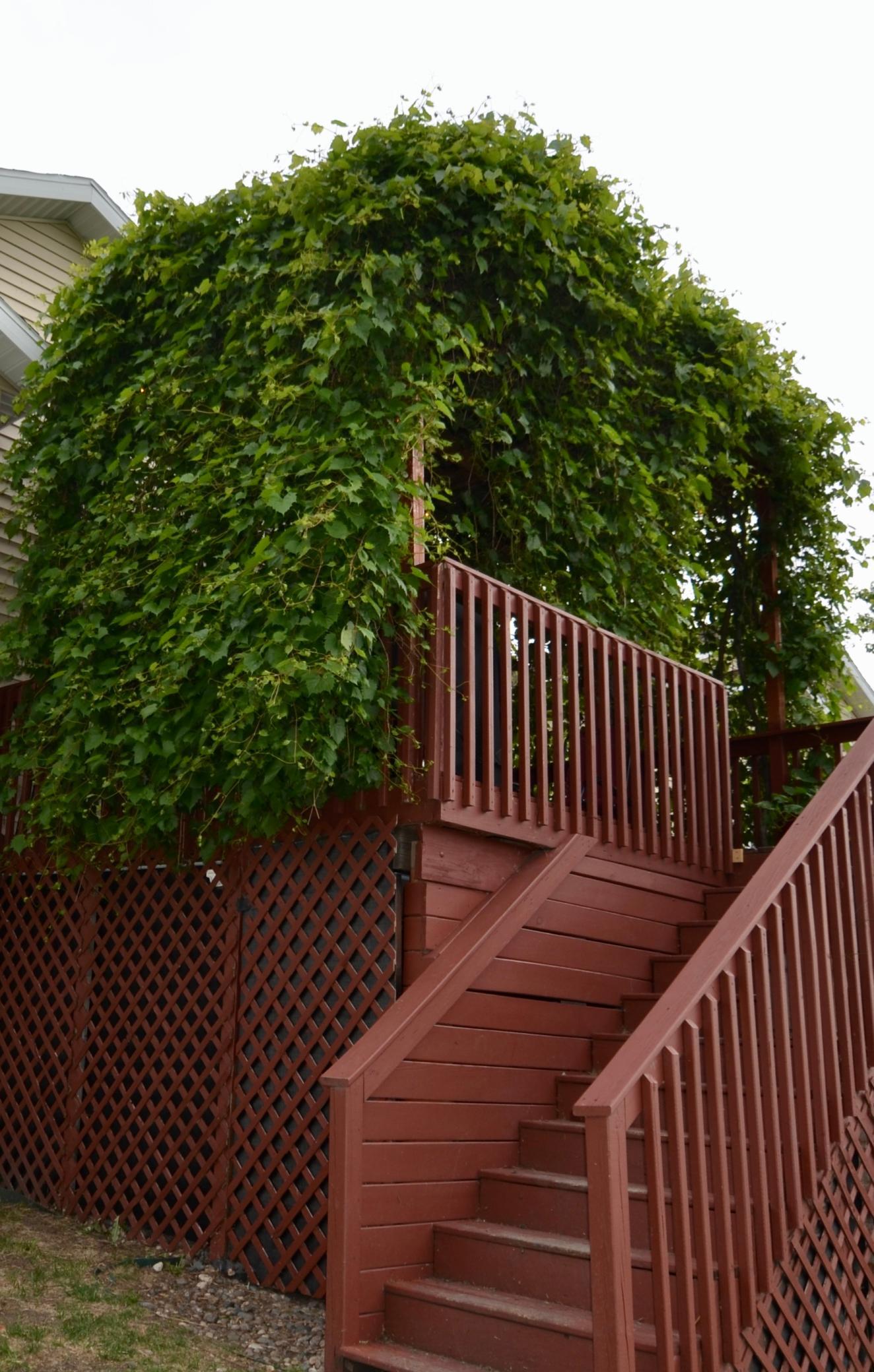 Deck 3