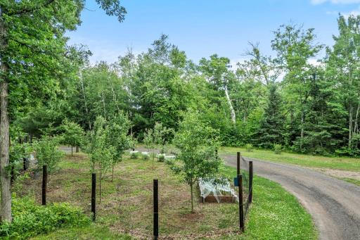 Garden with electric fence and irrigation