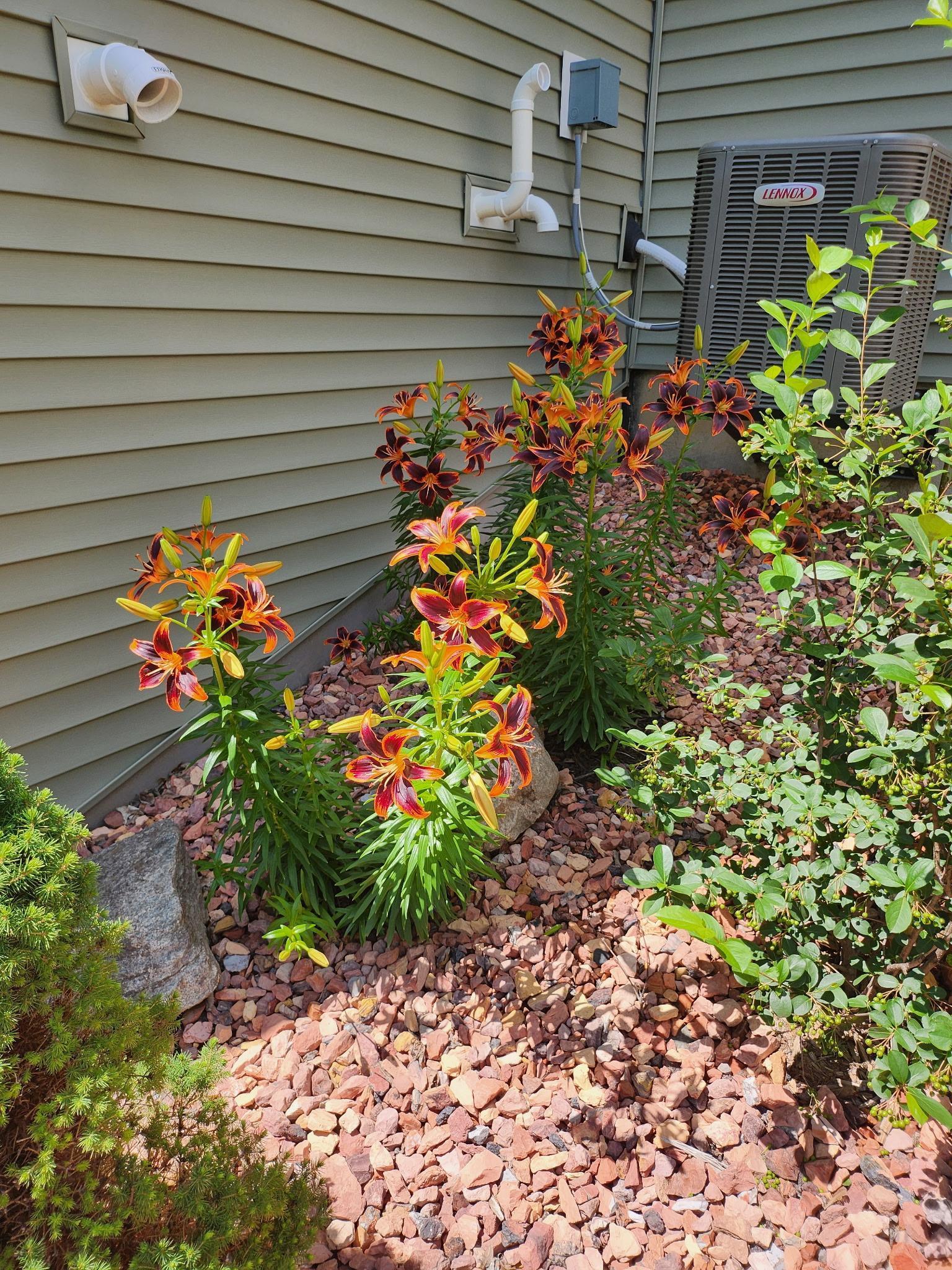 Photo 43