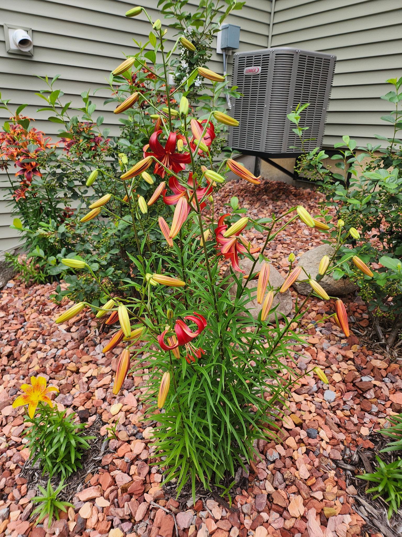 Photo 46