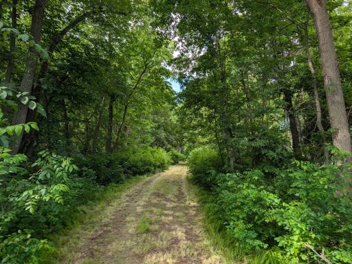 TBD 477th Avenue, New York Mills, MN 56567