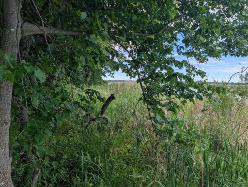 TBD 477th Avenue, New York Mills, MN 56567