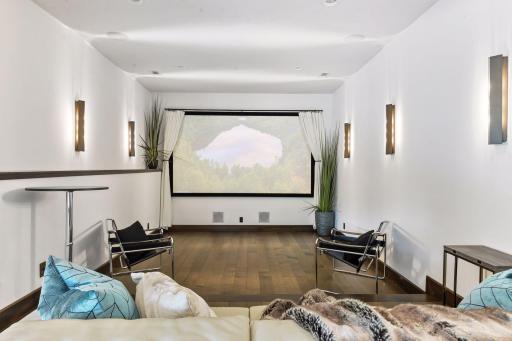 Theatre Room