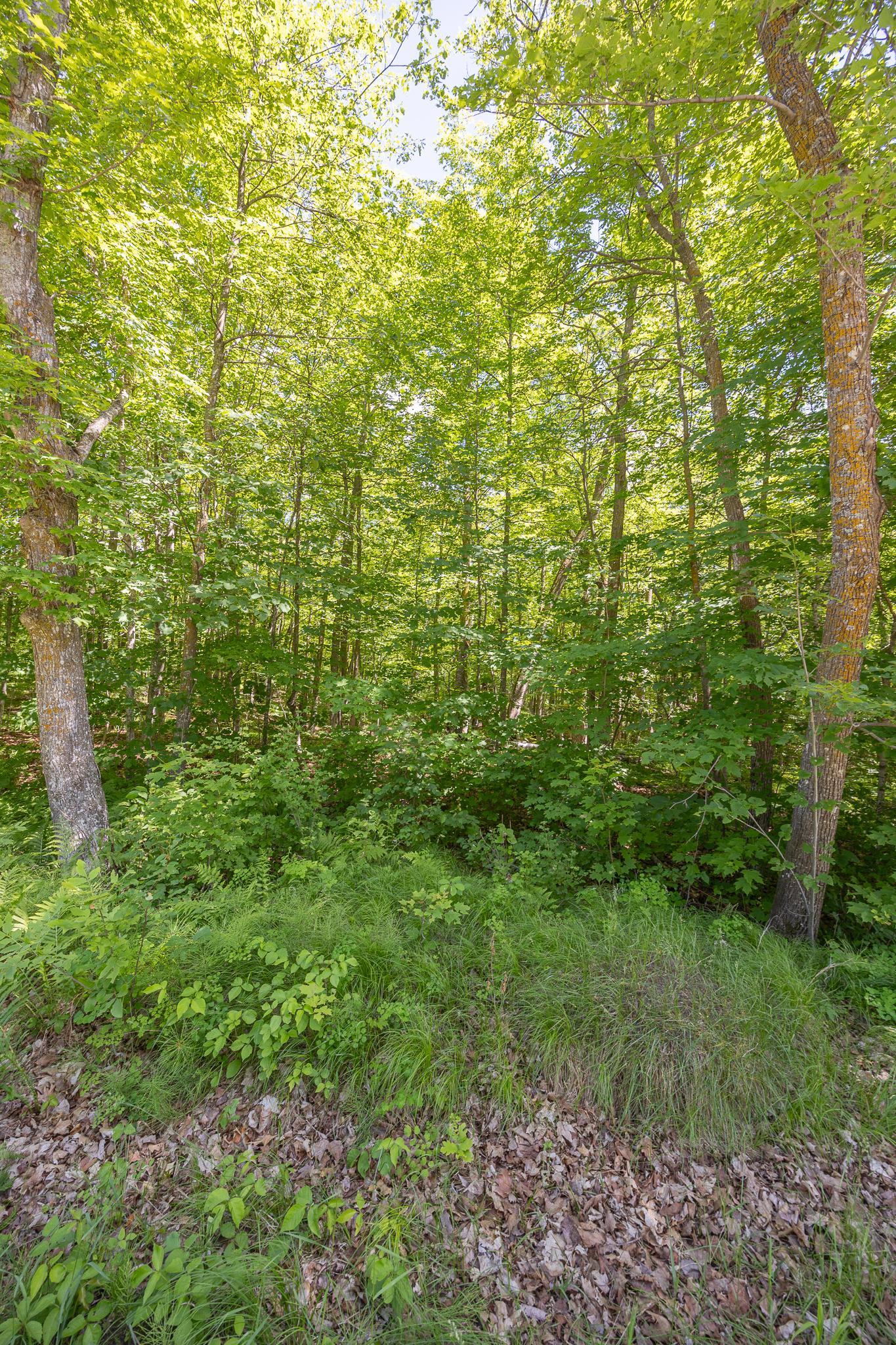 Property photo for TBD Island View Drive NE, Longville, MN 56655