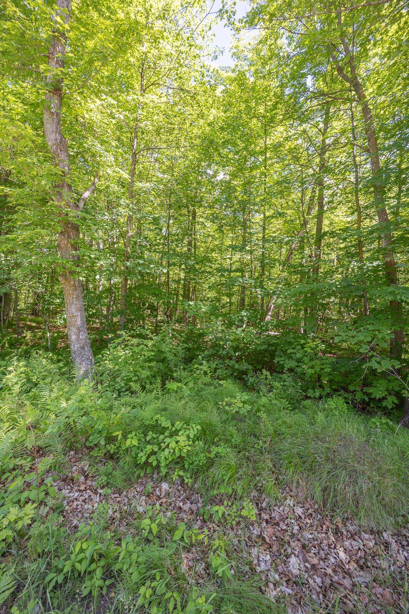 Additional lot photos
