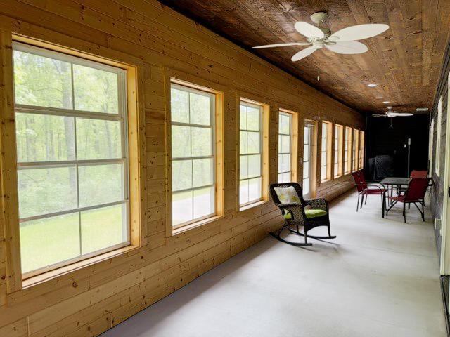 Wooded Views
