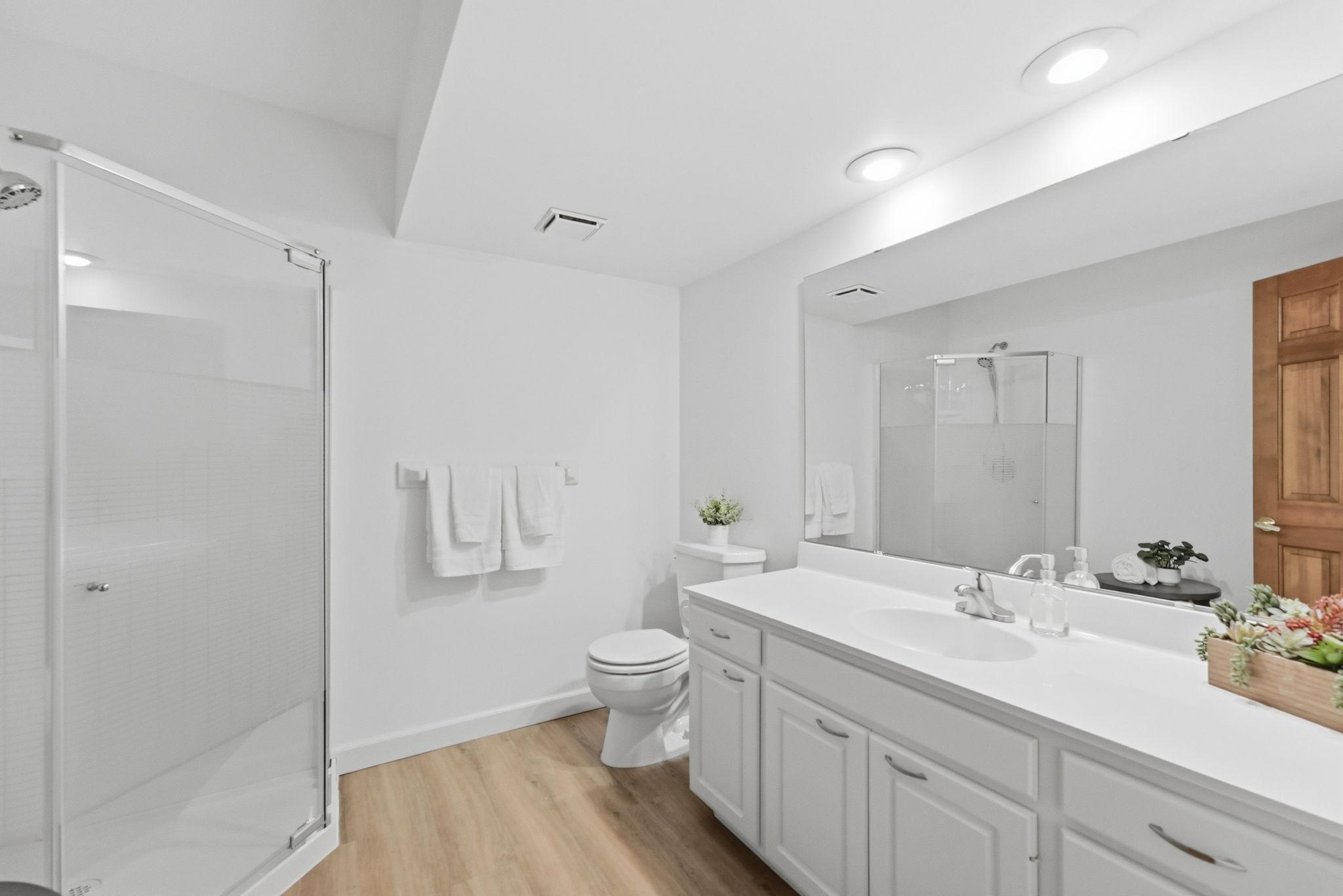 Lower level 3/4 bath.