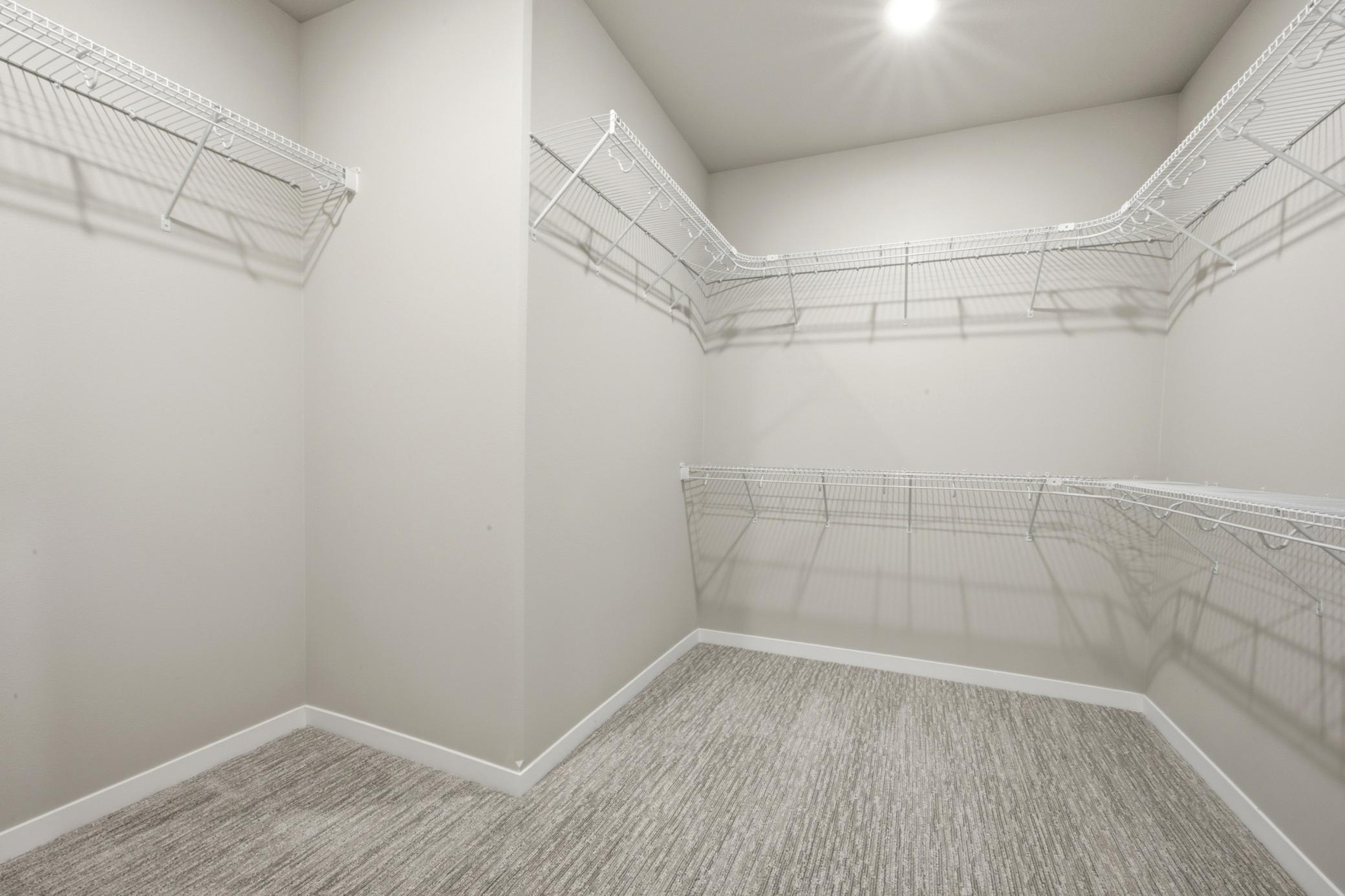 Bedroom #1 Walk-In Closet