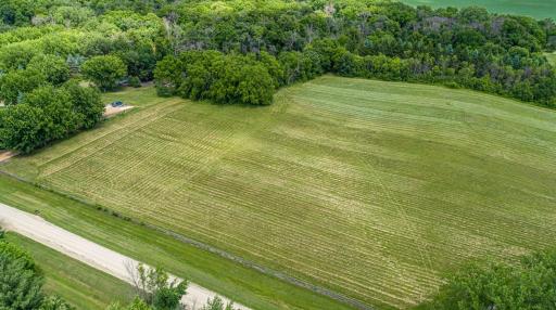 -XXXX Aberdeen Trail, Northfield, MN 55057