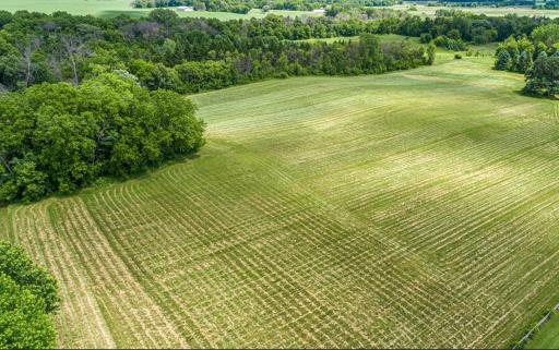 -XXXX Aberdeen Trail, Northfield, MN 55057