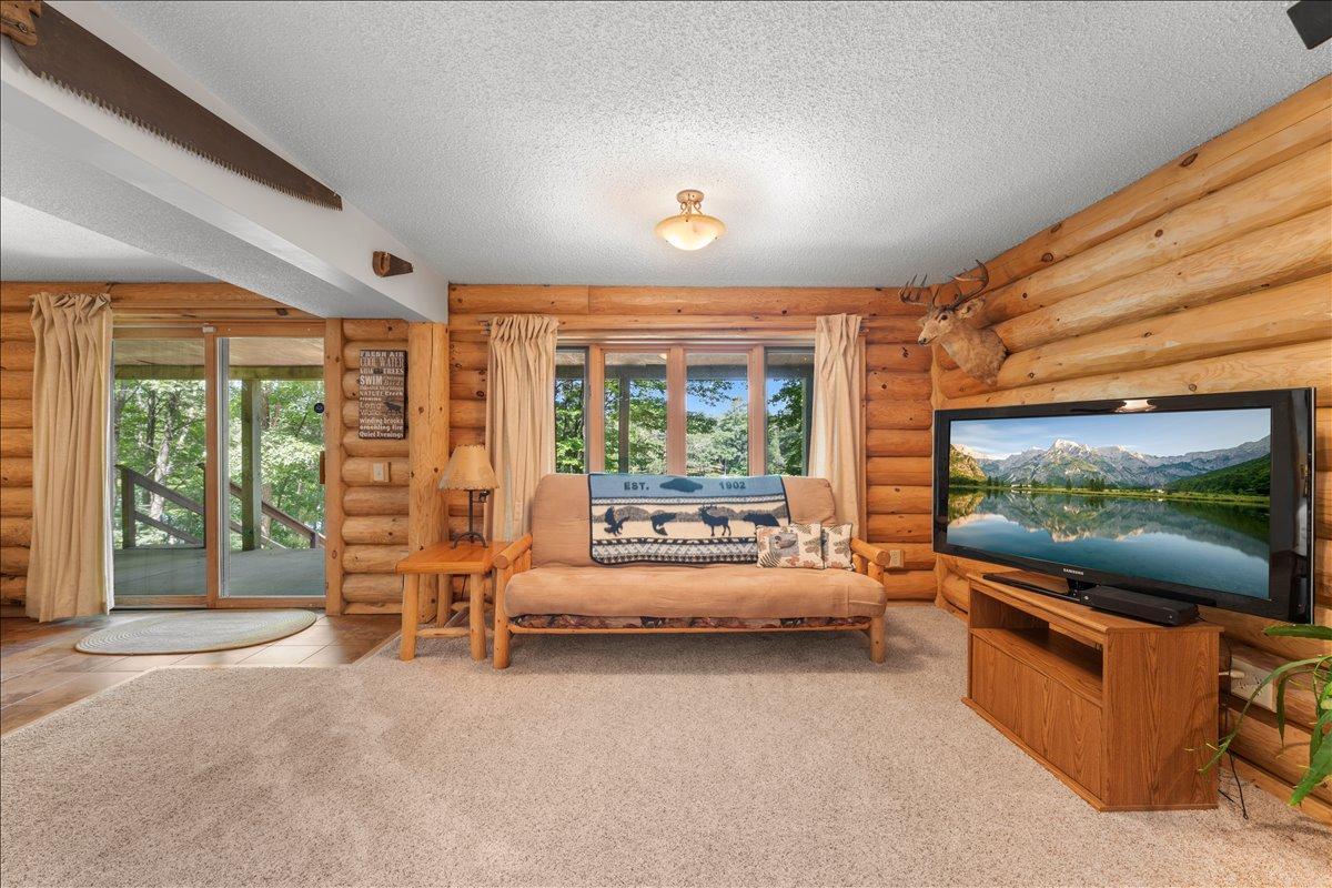 Lower level family room