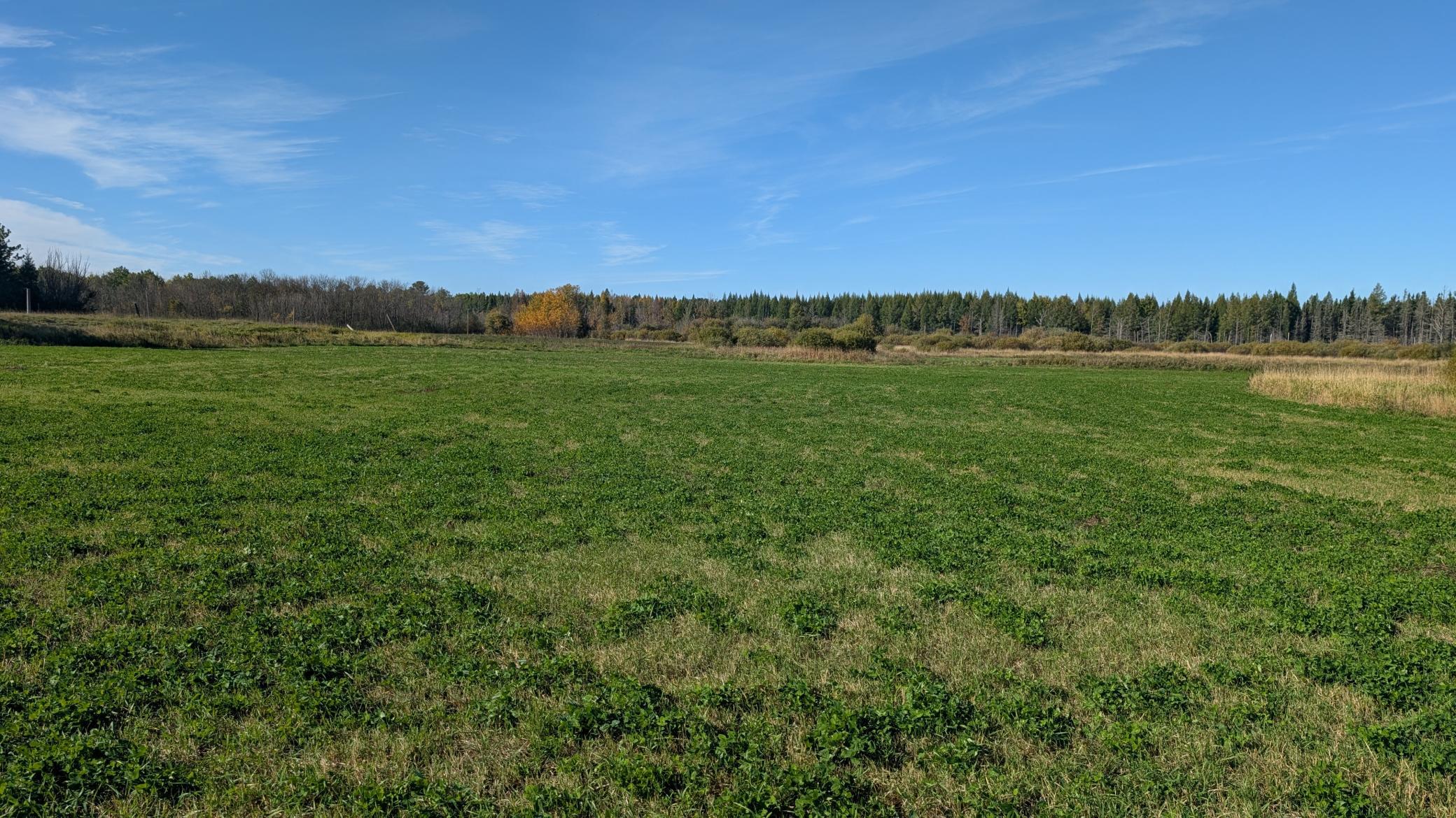 Property photo for 10211 Leander Road, Angora, MN 55703