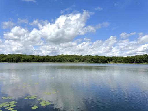 This could be your view on a daily basis!