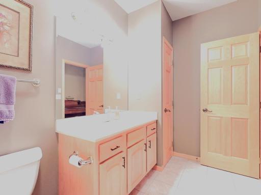 Lower level full bath w/ marble top / linen closet