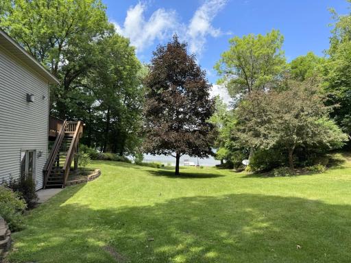 Let's head down to the lake! Look at that maple tree!